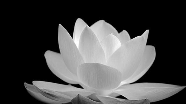 Công đoàn Khoa Luật và gia đình vô cùng thương tiếc báo tin. ( Mẹ Vợ Thầy Đinh Hoài Nam -  GĐ Trung tâm tư vấn và Bồi dưỡng PL, GV Khoa Luật )