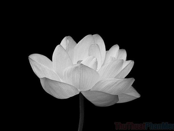 Công đoàn Trung tâm Dịch vụ hỗ trợ đào tạo, Phòng Tổng hợp, Phòng Quản trị thiết bị cùng gia đình vô cùng thương tiếc báo tin
