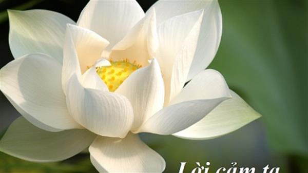 Bà Nguyễn Thị Huỳnh nguyên nhân viên tổ xe , đoàn trung tâm do TS. Trần Ngọc Thìn làm trưởng đoàn xuất phát đi viếng bà lúc 15h