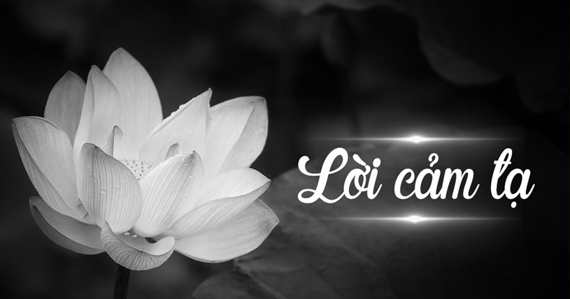 Loi cam ta
