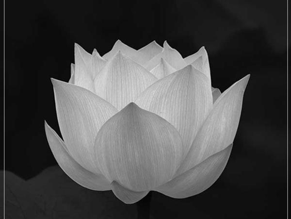 Thông báo tin buồn Nhà trẻ ĐHKTQD